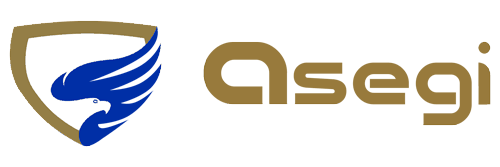 Asegi logotipo 2